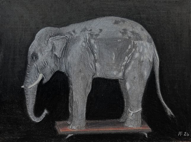 Elephant Conservation Treatment