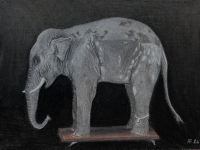 Elephant Conservation Treatment