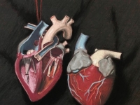 Plastic Heart